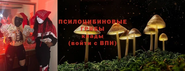 дживик Нефтекумск