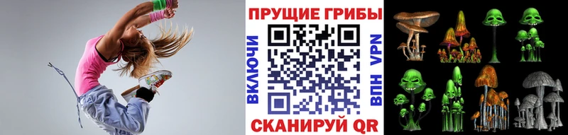 Галлюциногенные грибы Psilocybine cubensis  Ленск 